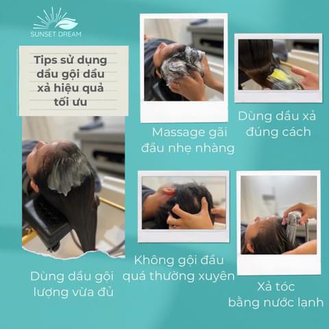 Thành phần thảo mộc tự nhiên trong bộ đôi gội xả Sen